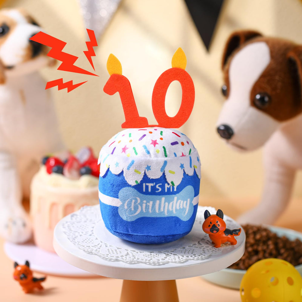 Deco anniversaire chien avec Dansydaisy pour photos.