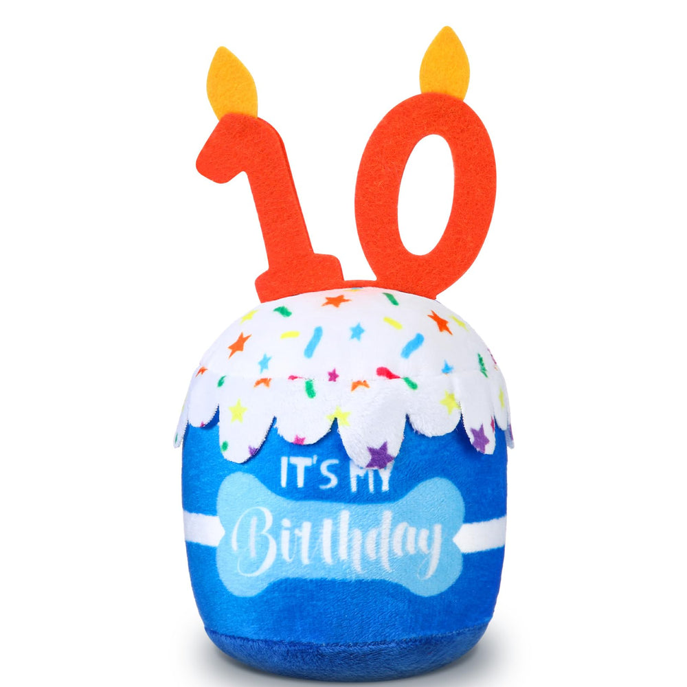 Gateau anniversaire Dansydaisy bleu pour chien, amusant et festif.
