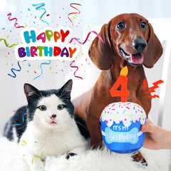Dansydaisy peluche-dentition-chien-bleu, permet mastication douce et jeu interactif.