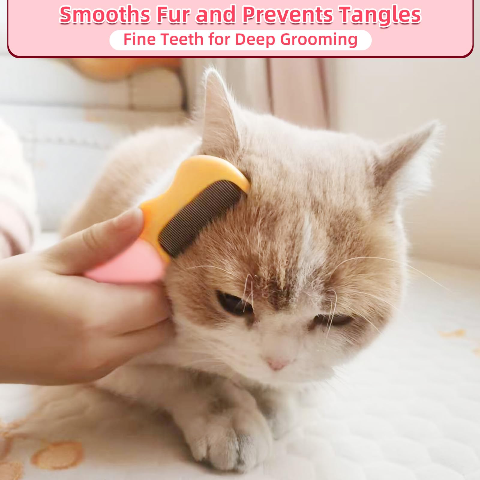 DAOGUAUNG brosse démêlage poils chat petit chien