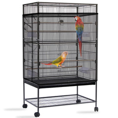 Daoeny attrape-graines pour cage oiseaux noir: couverture complète et réduction des graines au sol