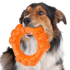DAOZIJI anneau dentition chien durable pour mastiquer en sécurité.