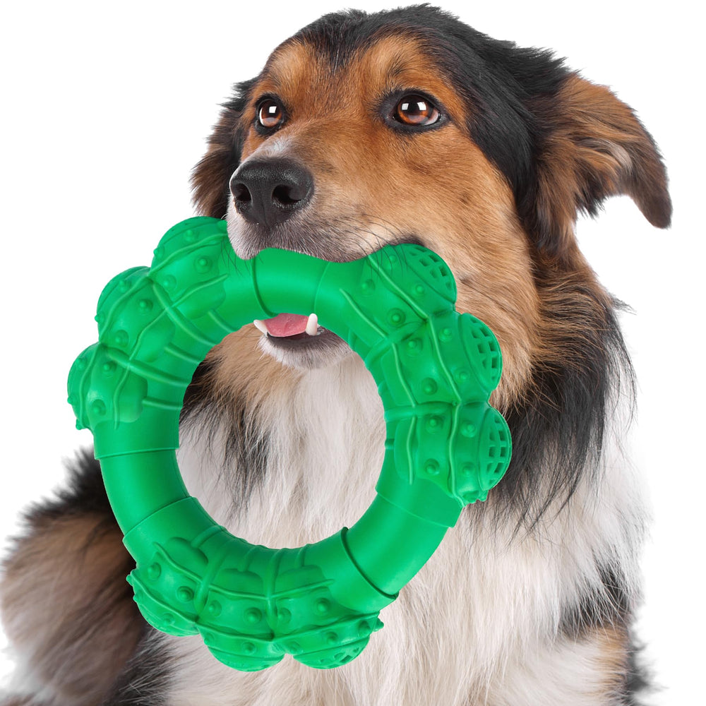 DAOZIJI anneau dentition chien incassable: mordillage durable pour chiens aggressifs.