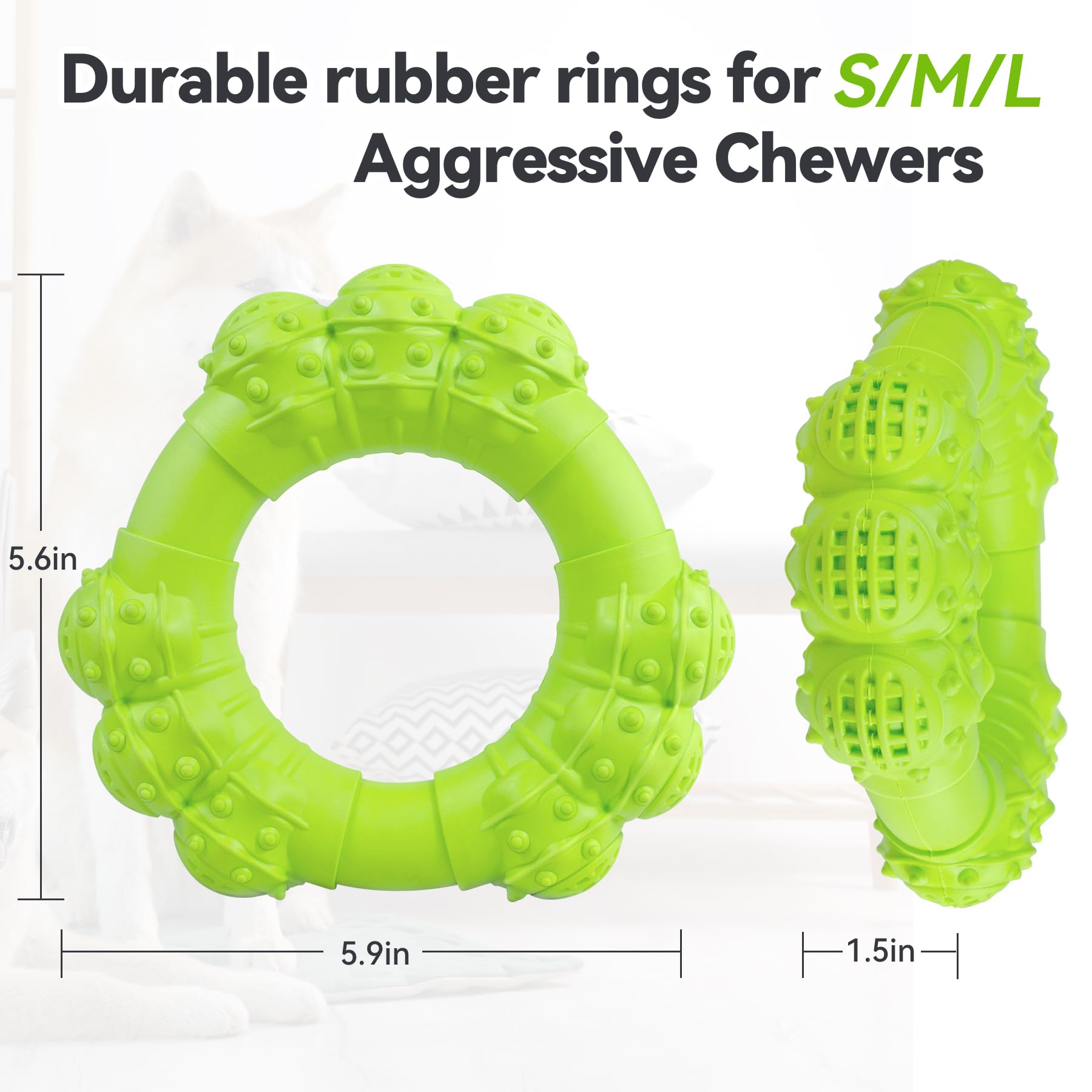 DAOZIJI Anneau dentition grand format pour chiens de grande taille.
