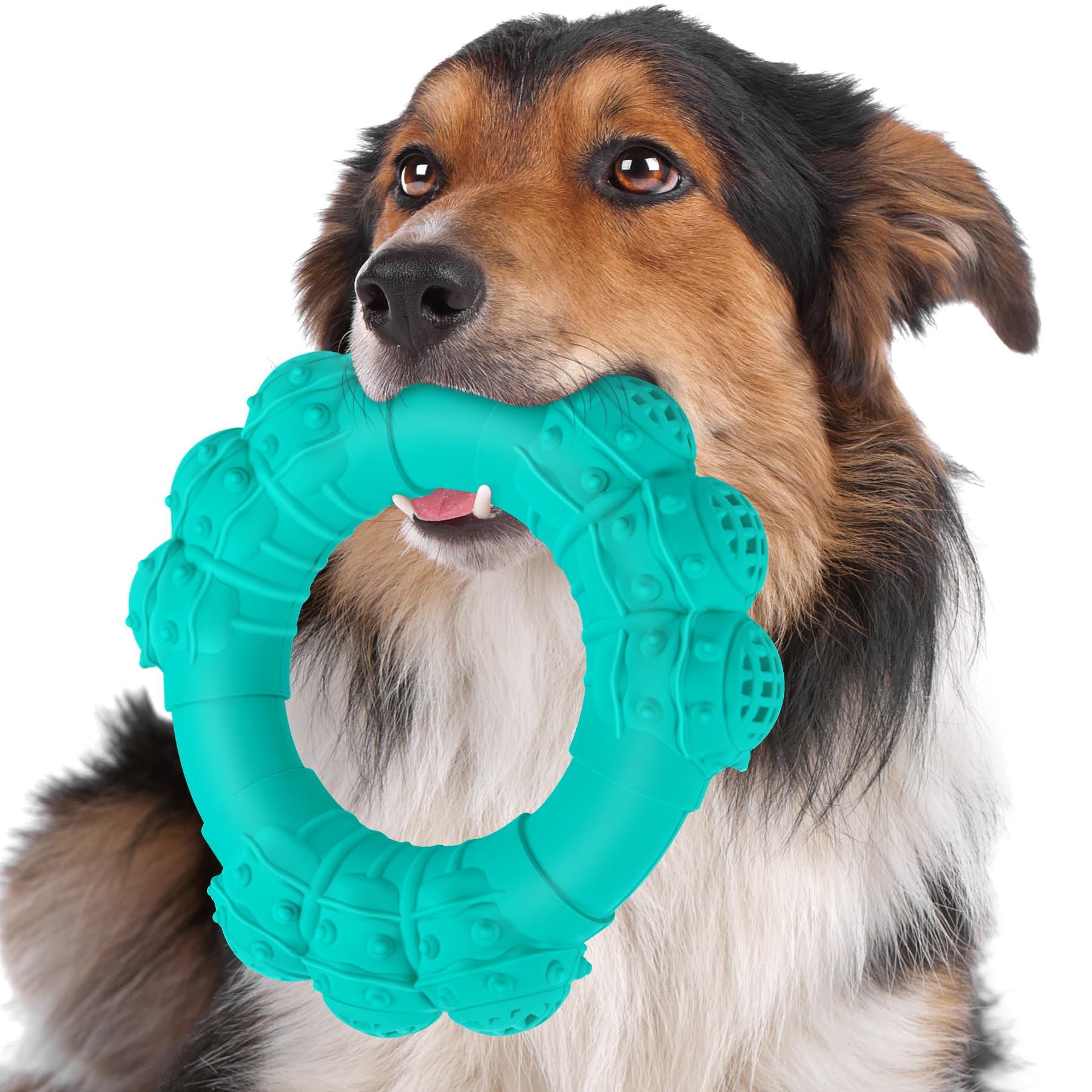 Jouet DAOZIJI anneau indestructible pour chien, résistance et sécurité lors des morsures.