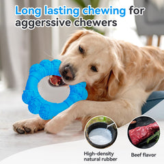 DAOZIJI anneau interactif pour chien, utilisable intérieur et extérieur.