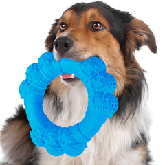 DAOZIJI anneau mâche indestructible pour chien, résistance élevée pour mâchage intensif.