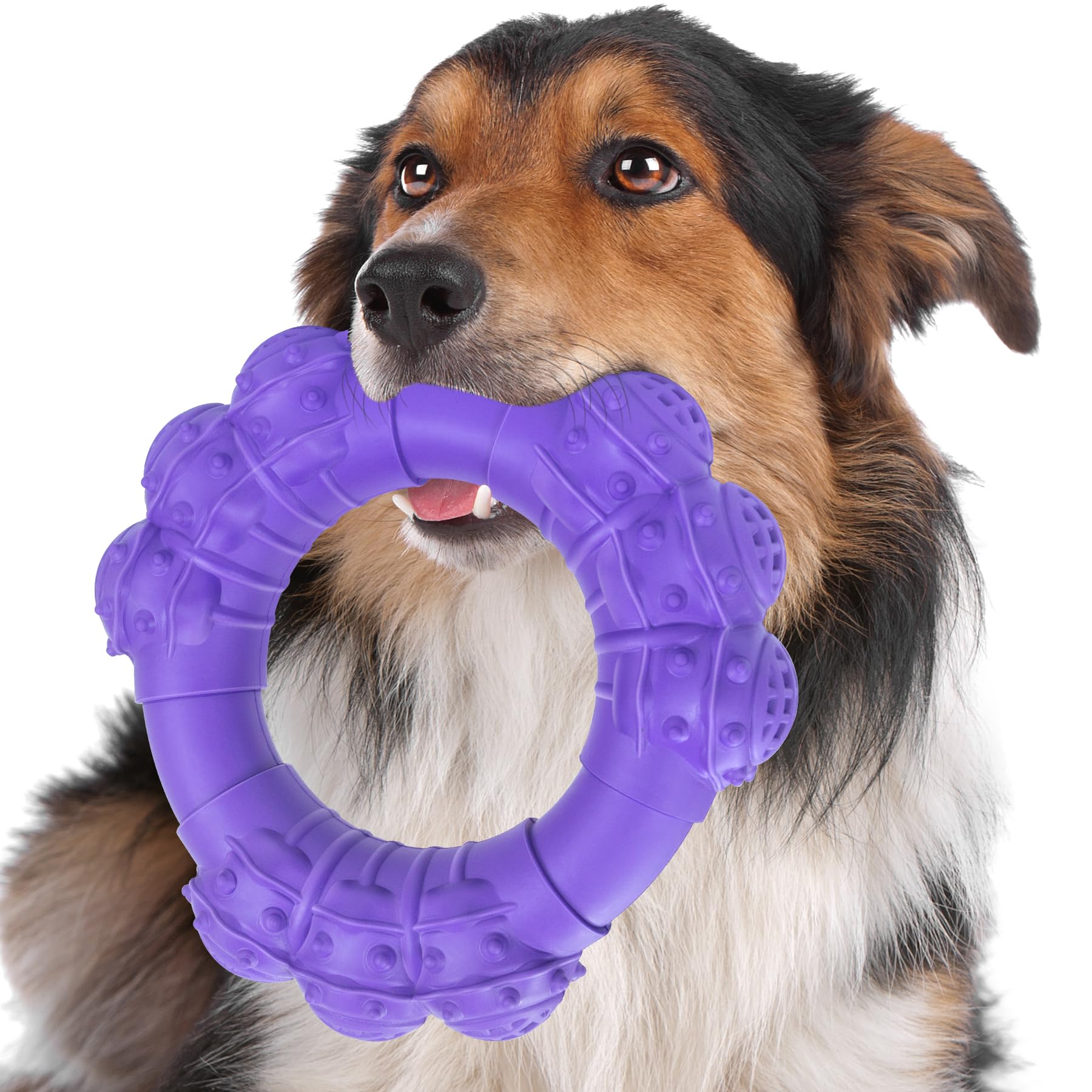 DAOZIJI anneau mordant incassable pour chiens robustes, idéal pour sessions intensives.
