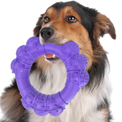 DAOZIJI anneau mordant incassable pour chiens robustes, idéal pour sessions intensives.