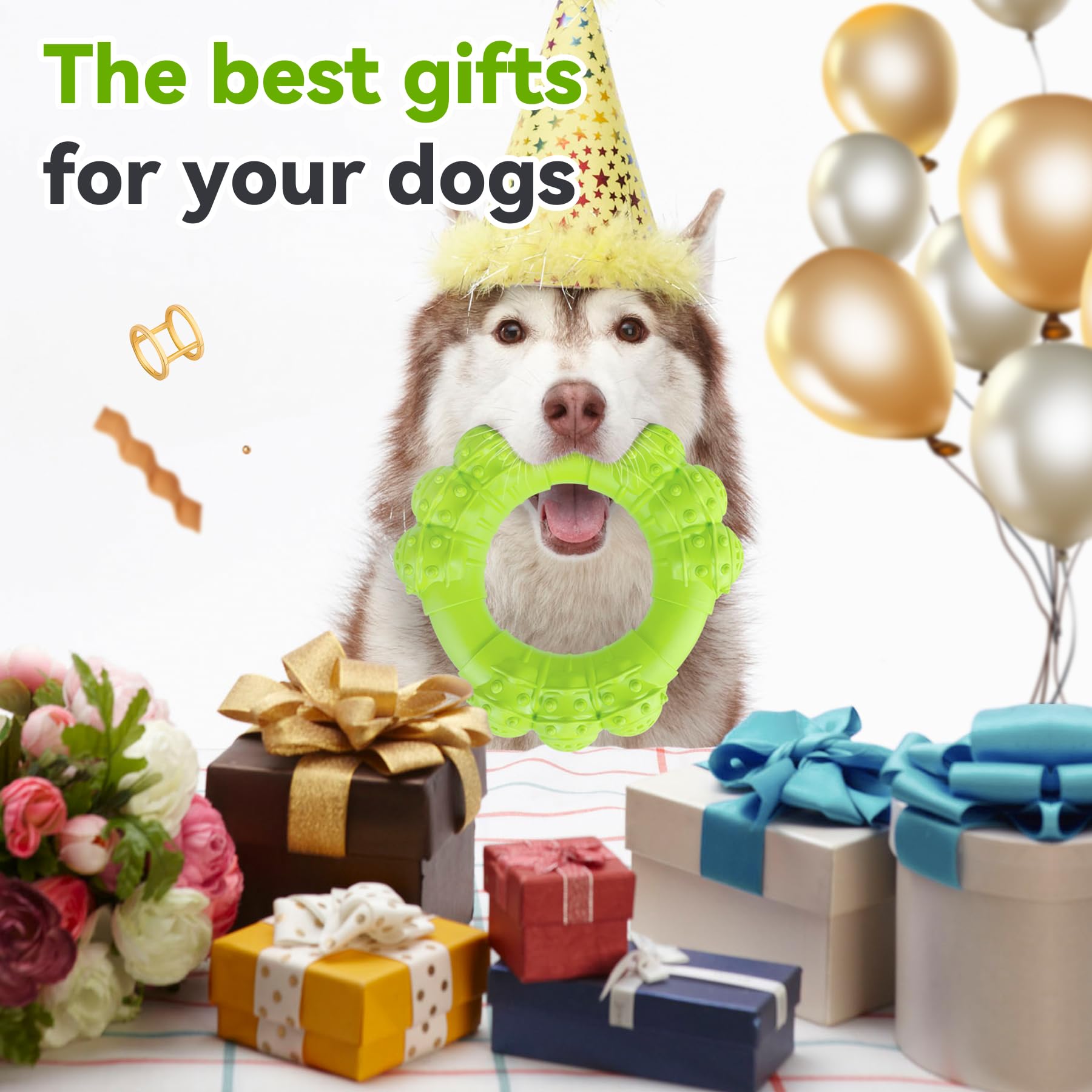 DAOZIJI Cadeau idéal pour chiens agressifs et joueurs.