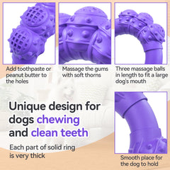 DAOZIJI jouet interactif intérieur et extérieur pour divertir votre chien.