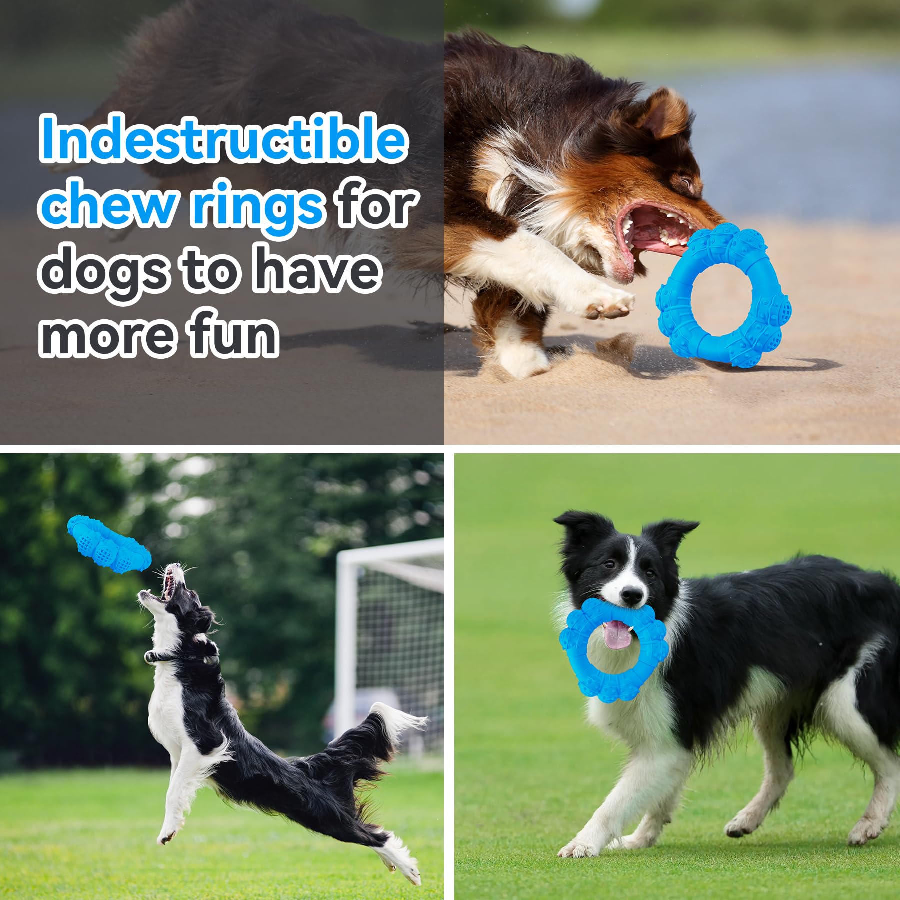 DAOZIJI trois sphères couvrent la bouche, nettoyage ciblé pour chien.