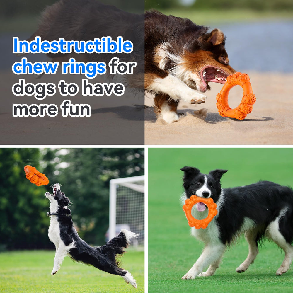 DAOZIJI usage intérieur et extérieur pour chien actif.