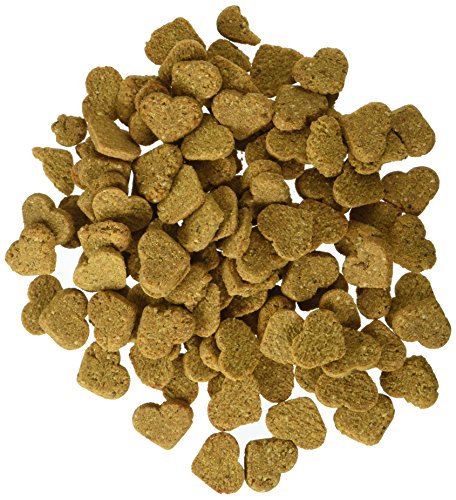 Texture biscuit croustillant Darford Minis pour chien actif.