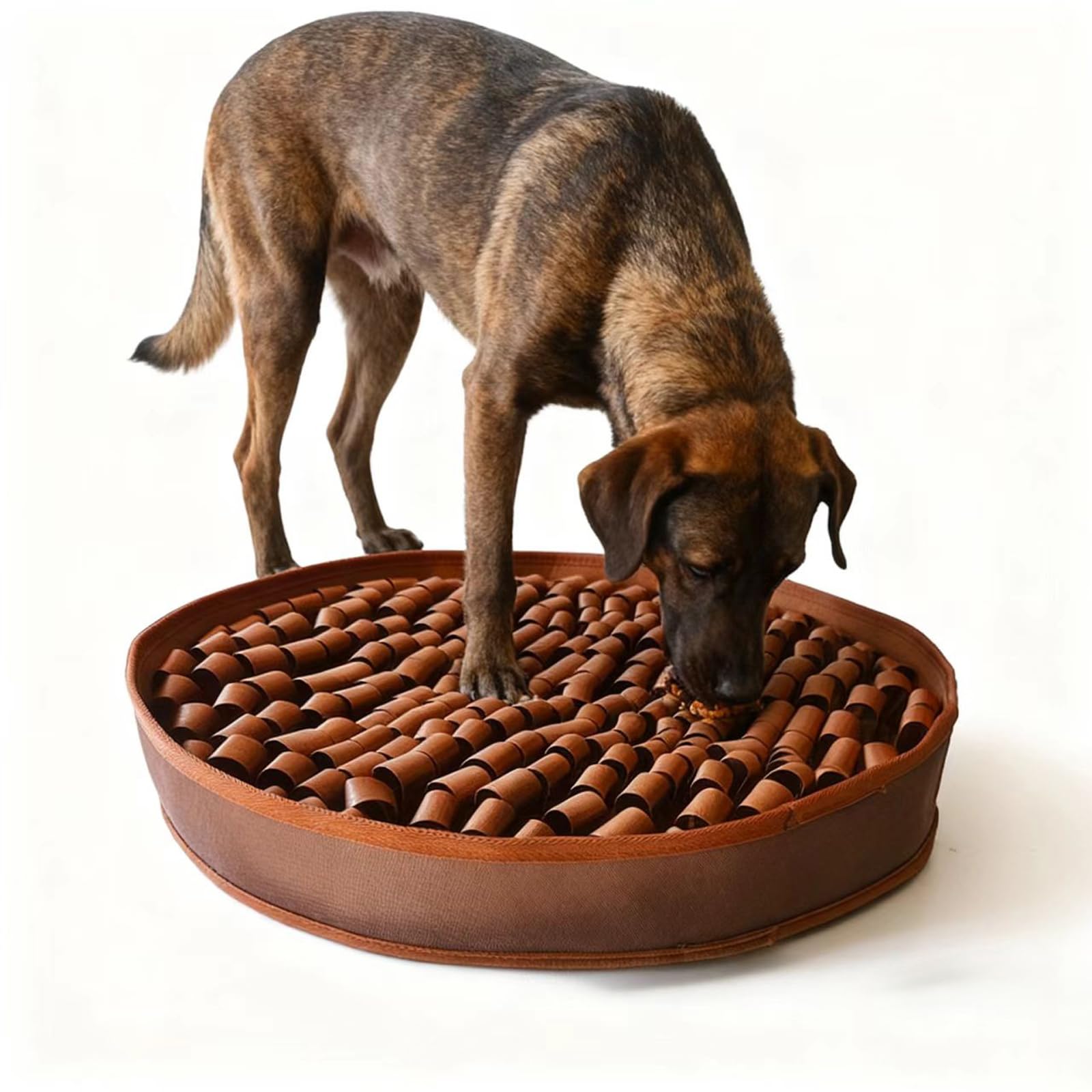 Base antiderapante: DasTior Snuffle Mat assure adhérence sur tapis et sols