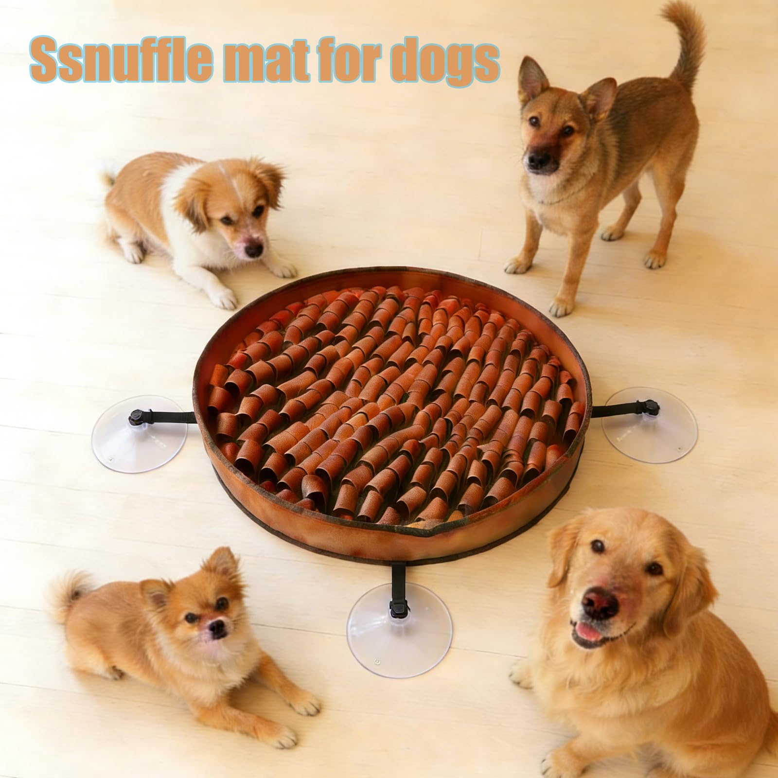 Design moderne: DasTior Snuffle Mat s’intègre discrètement à votre intérieur