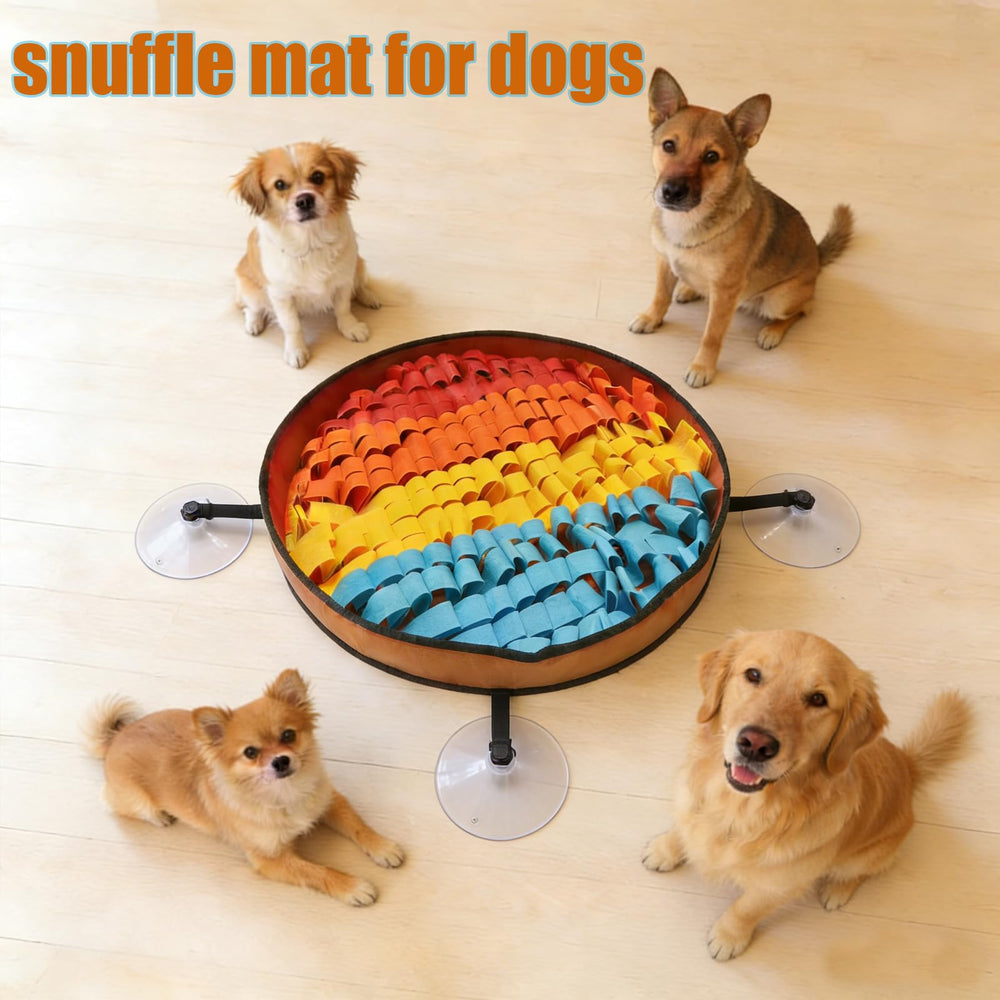 DasTior Snuffle Mat stimulation mentale pour grands chiens durant les jeux.