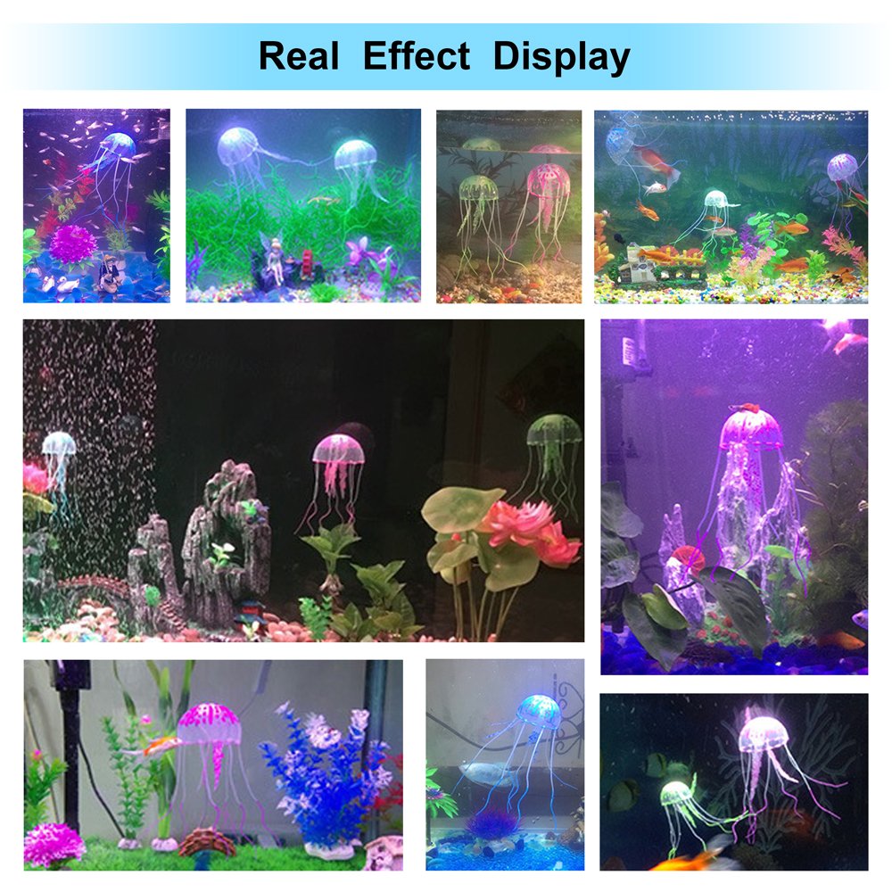 Ensemble de six méduses DaToo prêt à l instalación dans l’aquarium