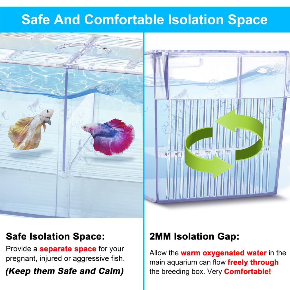 Coque ABS robuste de DaToo Boîte d'élevage pour aquarium
