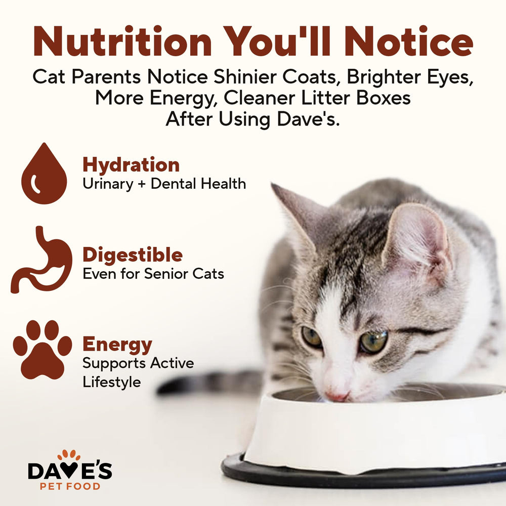 Consistance humide et crèmeuse du pâté Dave's pour nourrir en douceur.