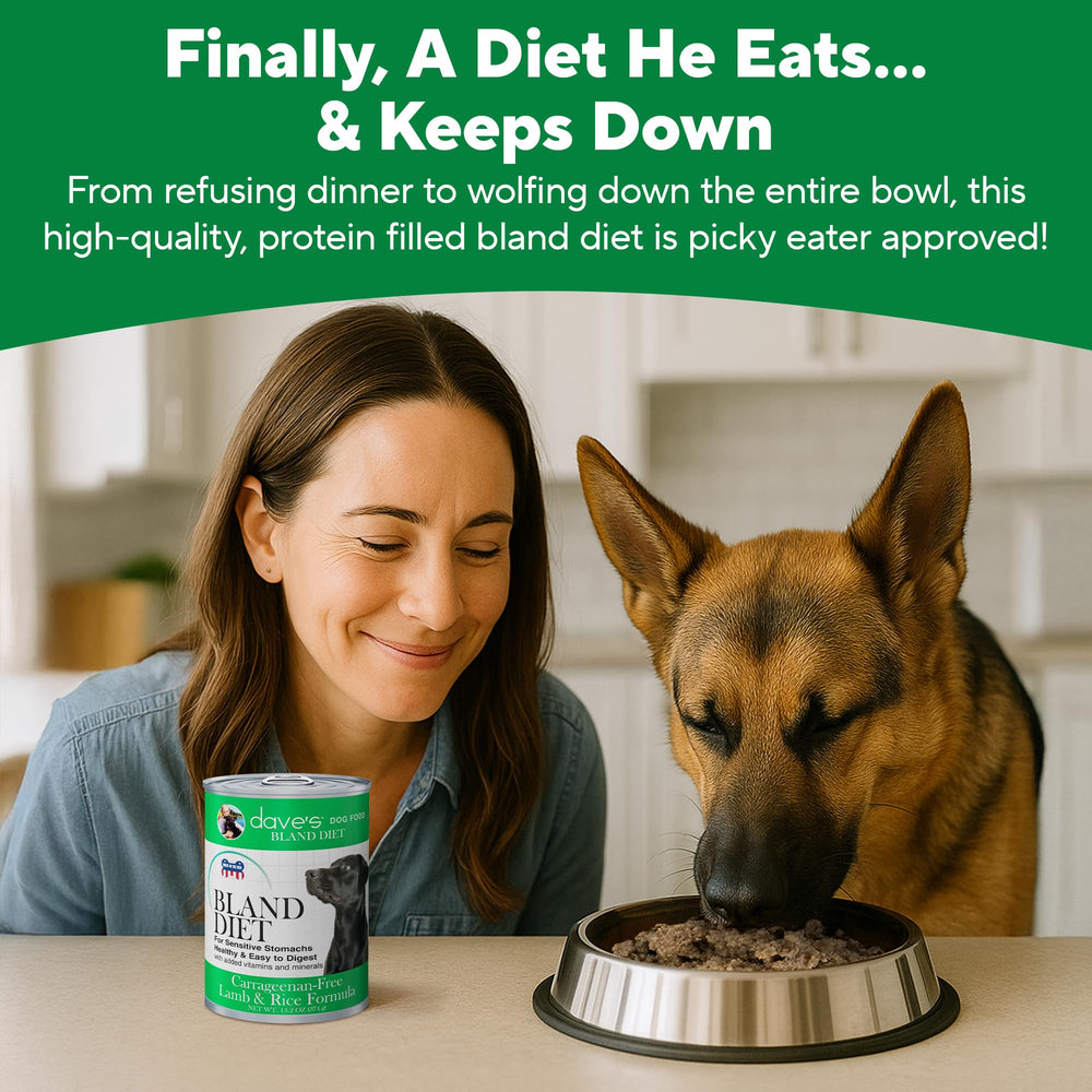 Dave's Pet Food alimentation-complète-adulte : repas équilibré pour chiens adultes.