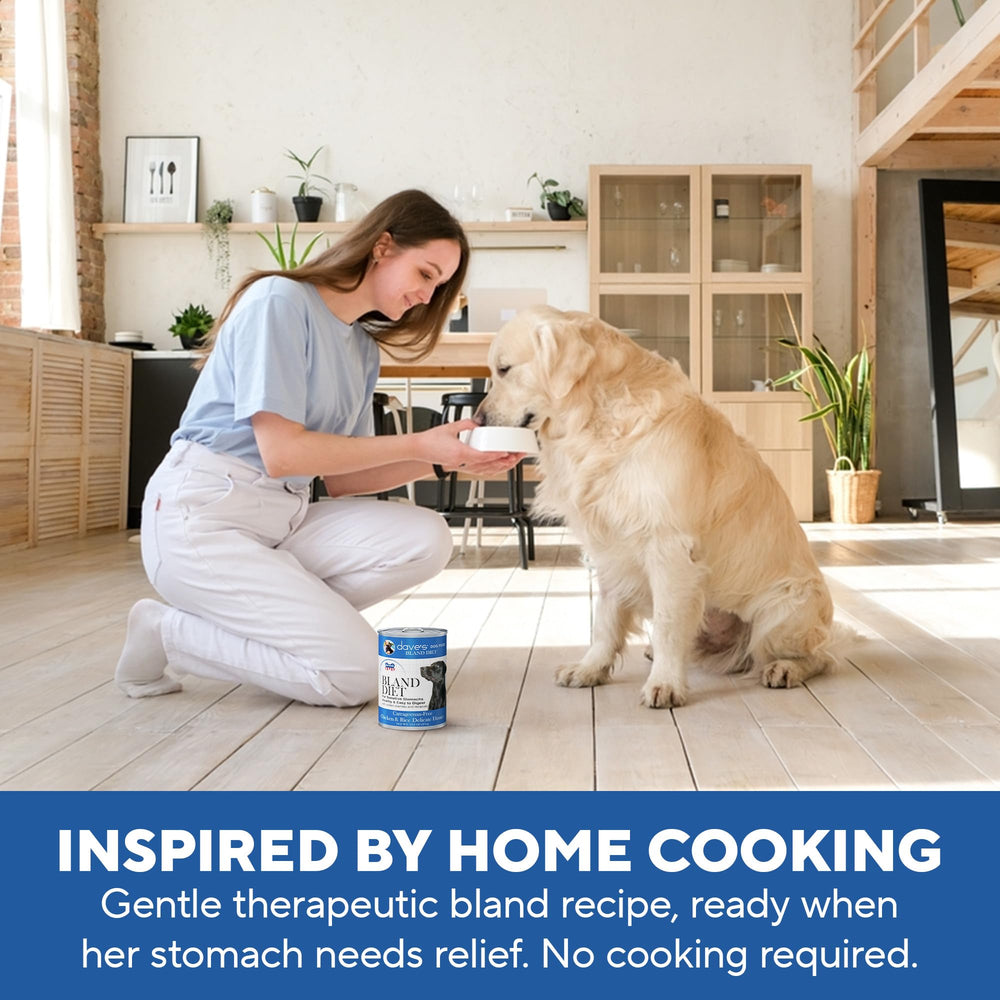 Dave's Pet Food Bland Diet – saveur poulet qui attire l’appétit.