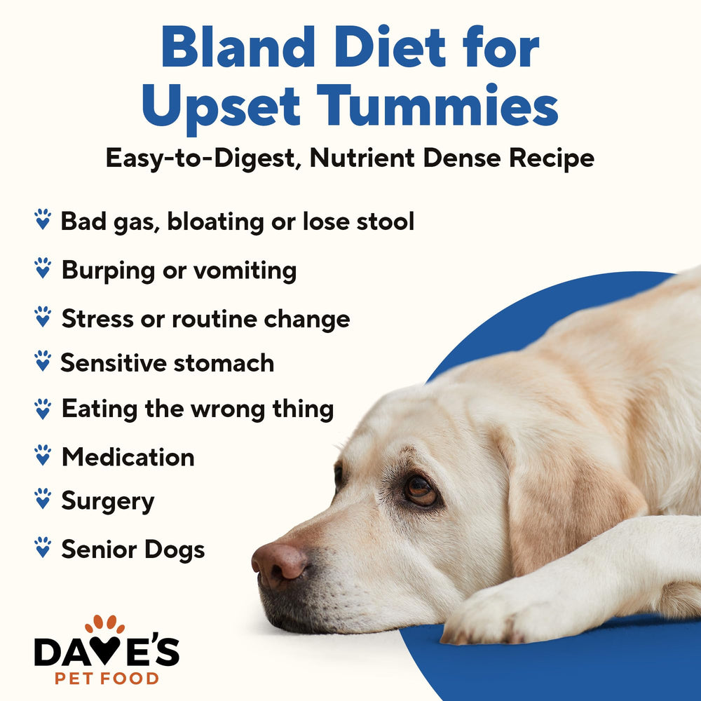 Dave's Pet Food Bland Diet – faible teneur en graisse pour une digestion légère.
