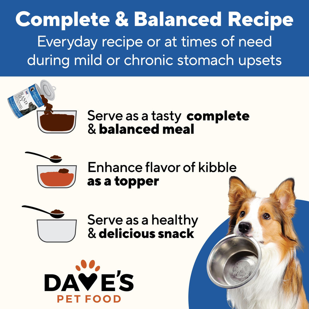 Dave's Pet Food Bland Diet – utilisable au quotidien et pendant les transitions.