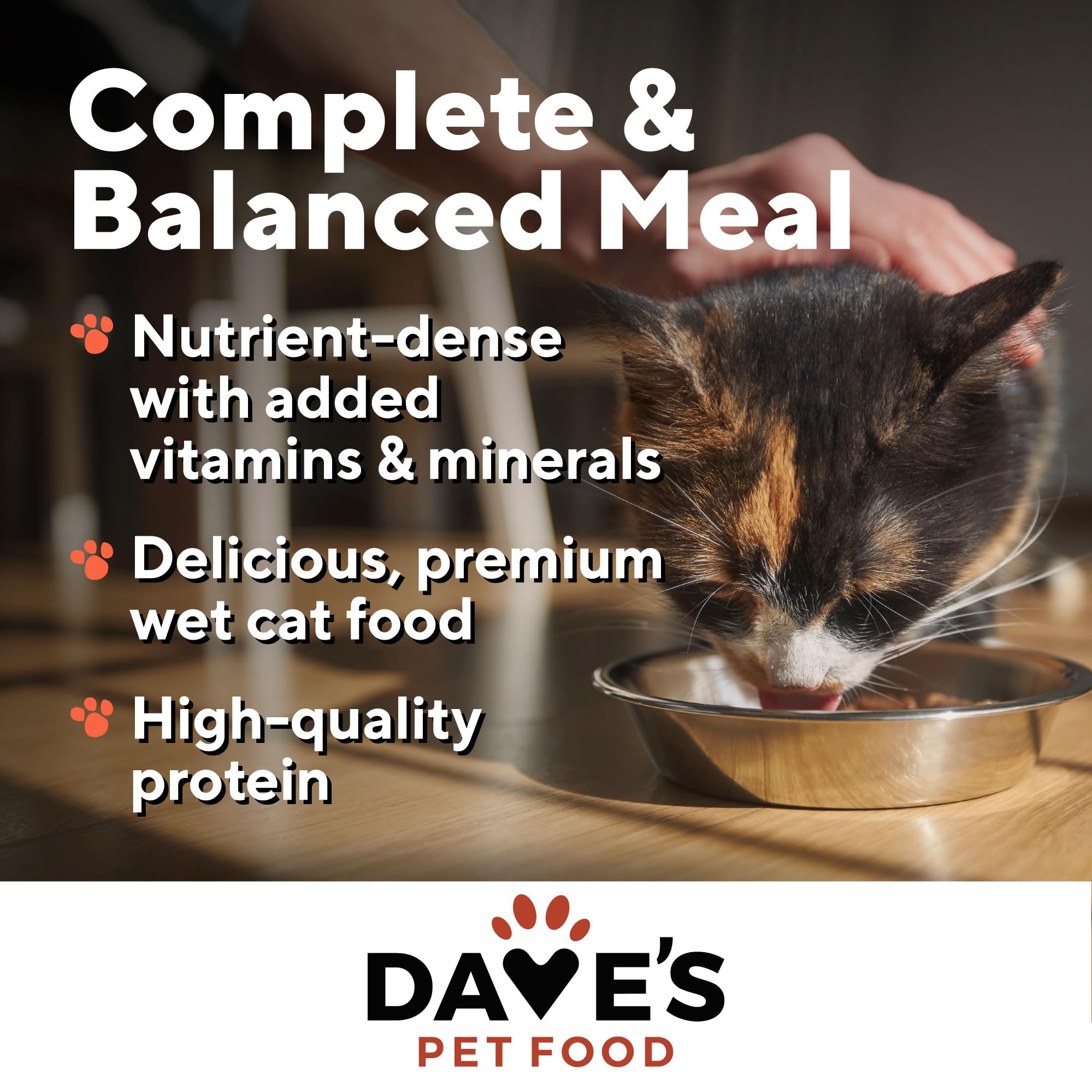 Dave's Pet Food – plat servi dans bol, texture aspic séduisante.