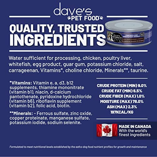 Dave's Pet Food pack 24 boîtes, pratique pour l'alimentation courante.