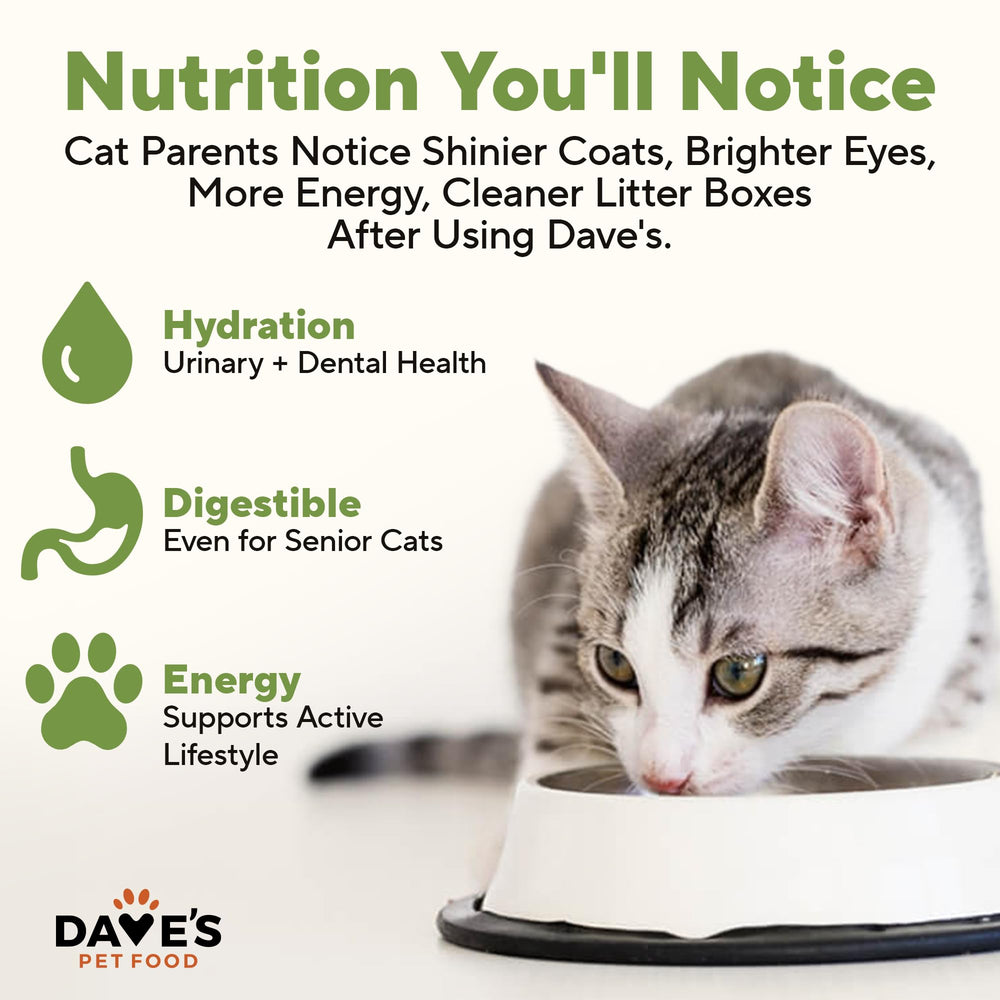 Dave's Pet Food – fabriqué aux États‑Unis, ingrédients domestiques et importés.