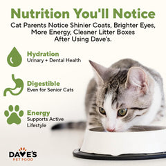 Dave's Pet Food – fabriqué aux États‑Unis, ingrédients domestiques et importés.