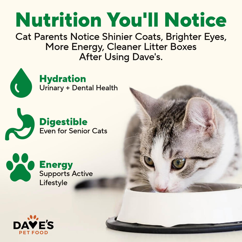 Fabriqué aux États‑Unis par Dave's Pet Food, pâté chat poulet sans gluten