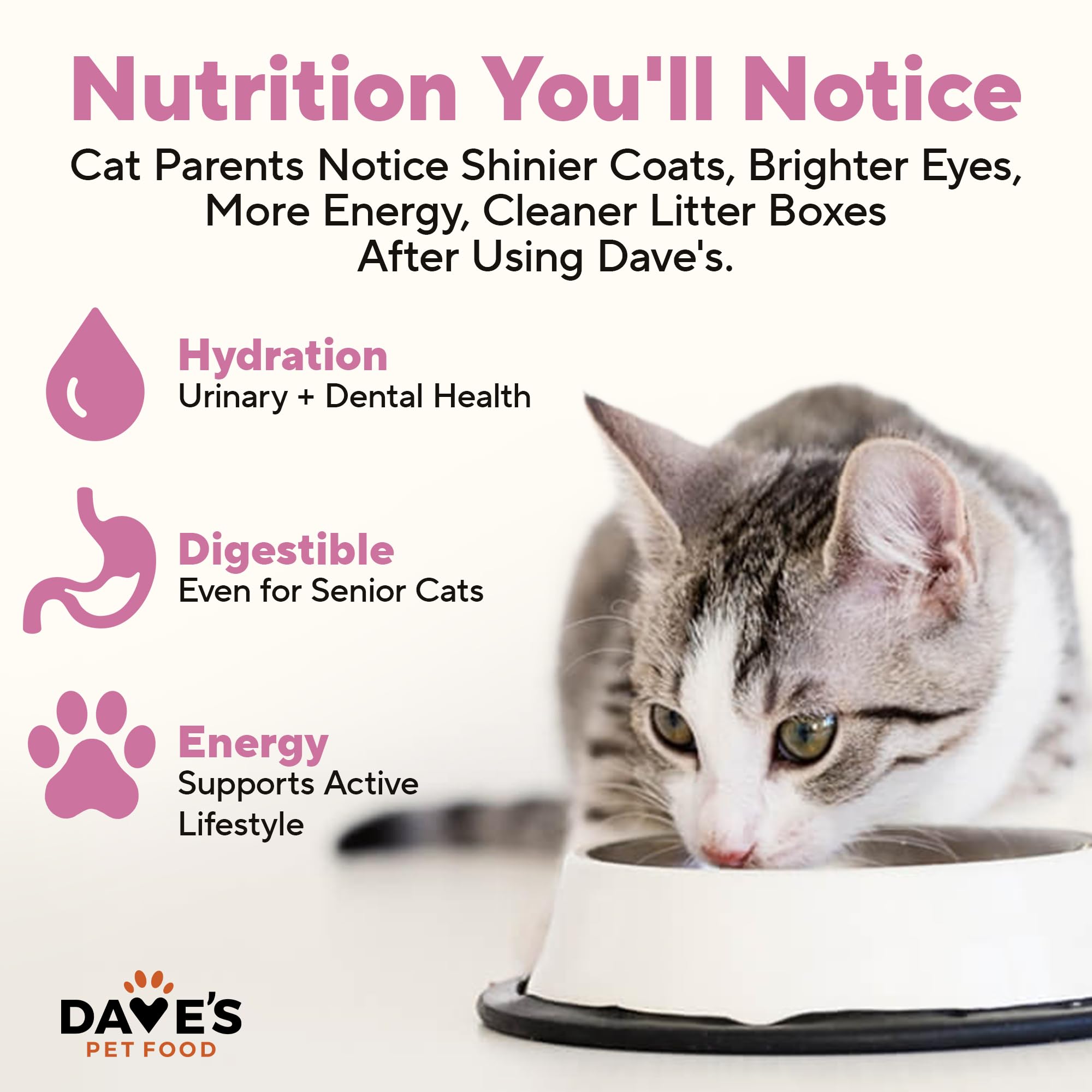Pâté sans céréales de Dave's Pet Food pour chats sensibles.