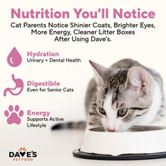 Pâté sans céréales de Dave's Pet Food pour chats sensibles.