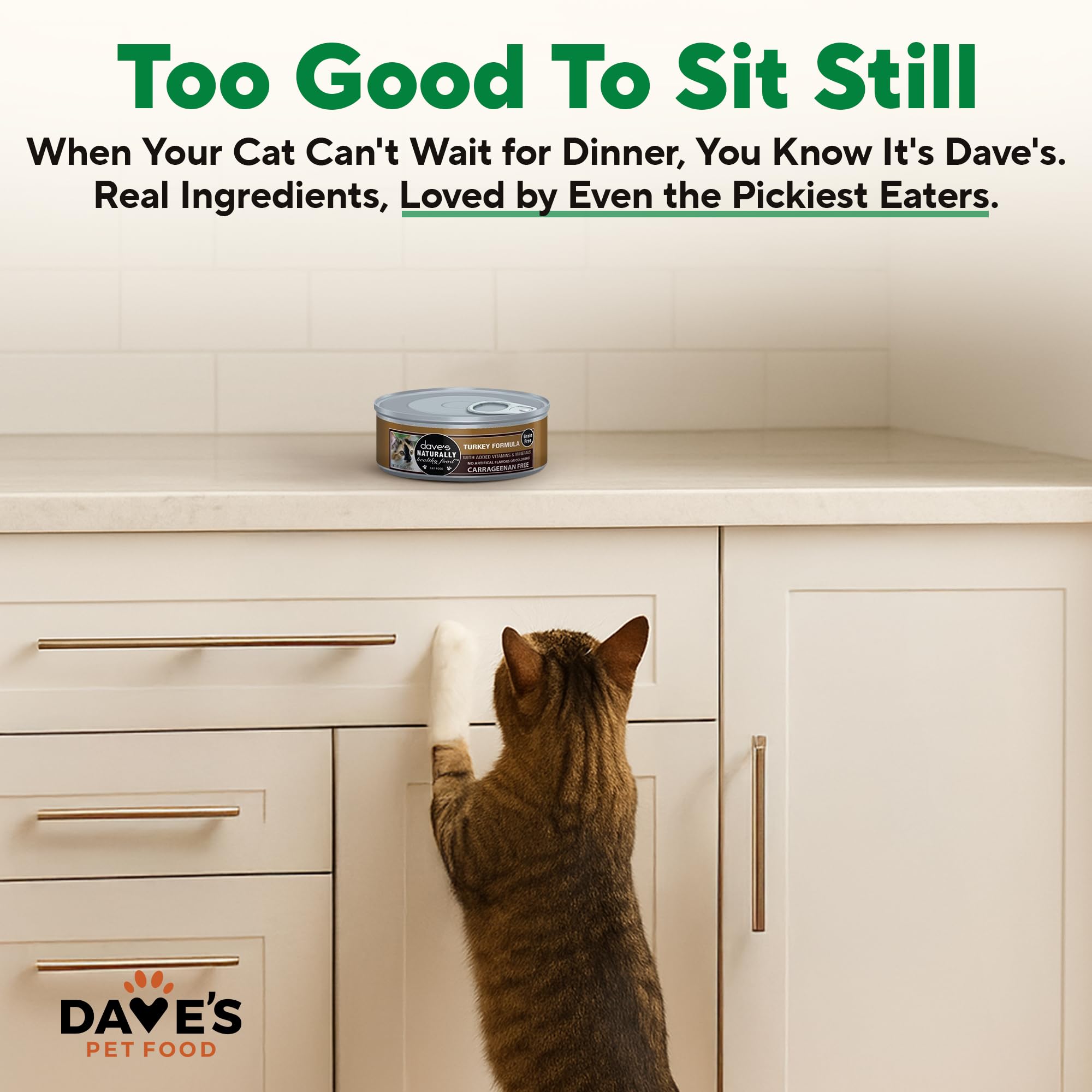 Dave's Pet Food Pâté dinde, sans céréales pour une alimentation naturelle