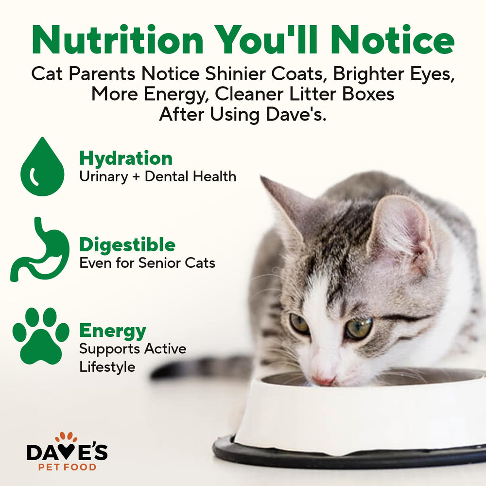 Dave's Pet Food Pâté poulet, bol de dégustation montrant hydratation et plaisir
