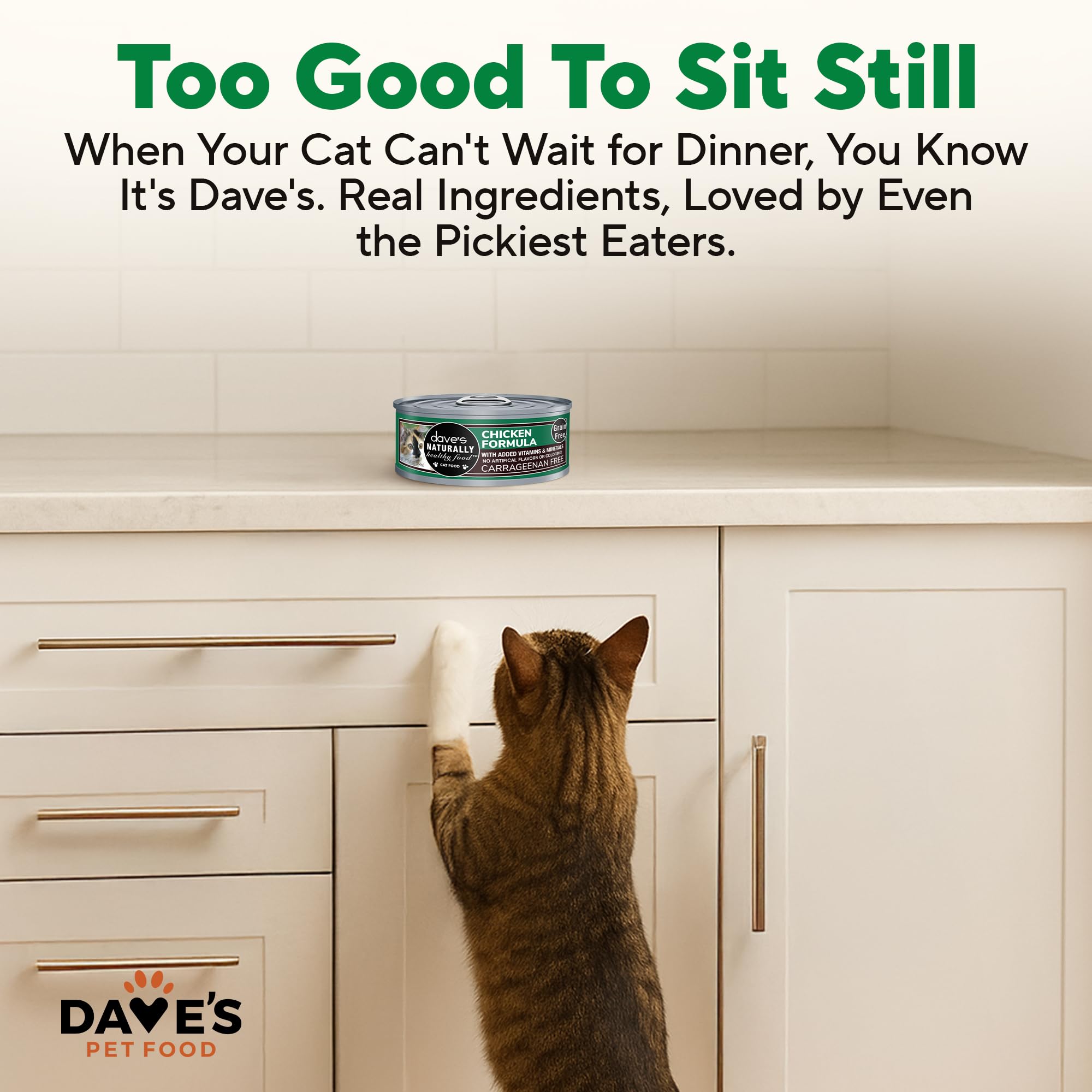 Dave's Pet Food Pâté poulet, sans céréales pour alimentation naturelle