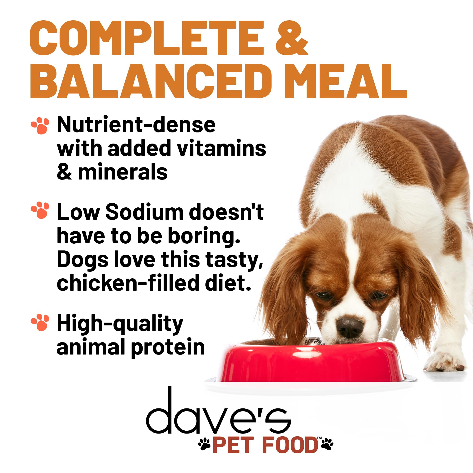 Dave's Pet Food - pate poulet texture humide gros plan, appétence naturelle