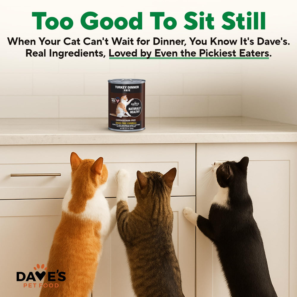 Dave's Pet Food sans grain: recette naturelle sans céréales