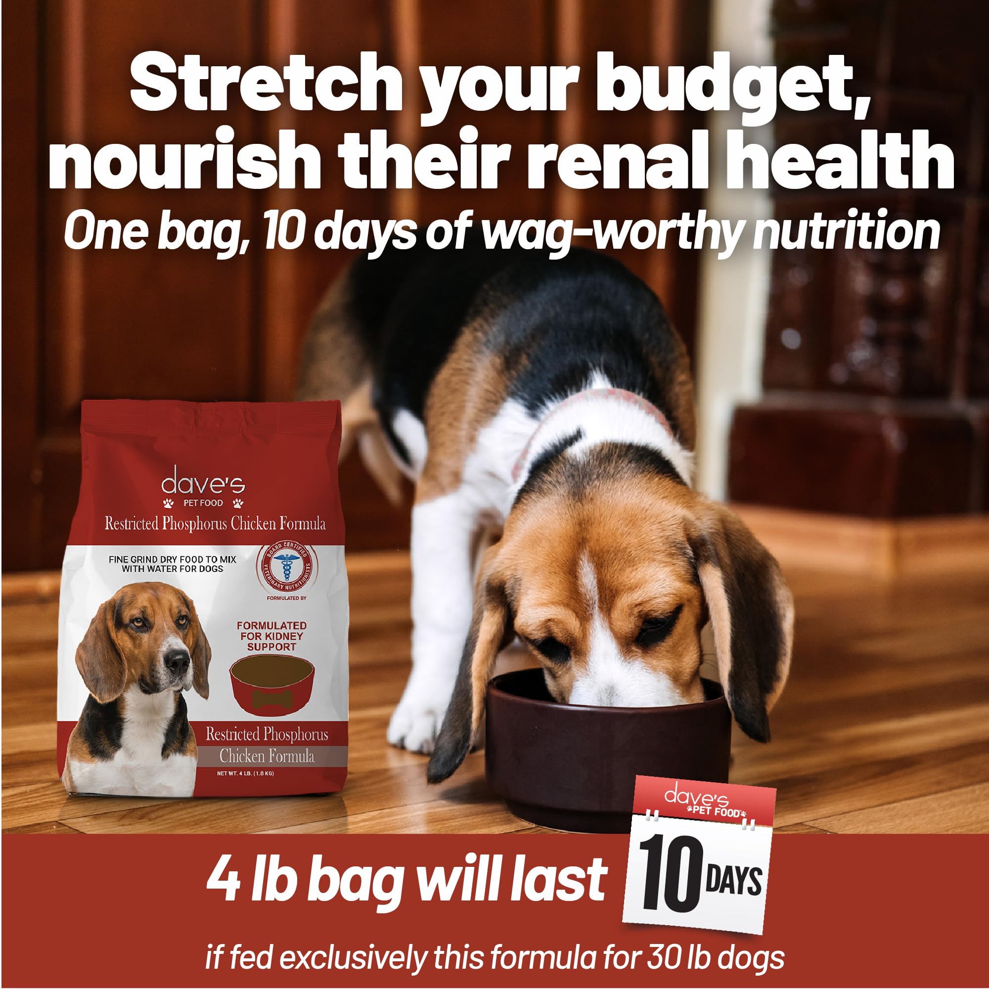 Dave s Pet Food Kidney Care bol hydraté, option économique.