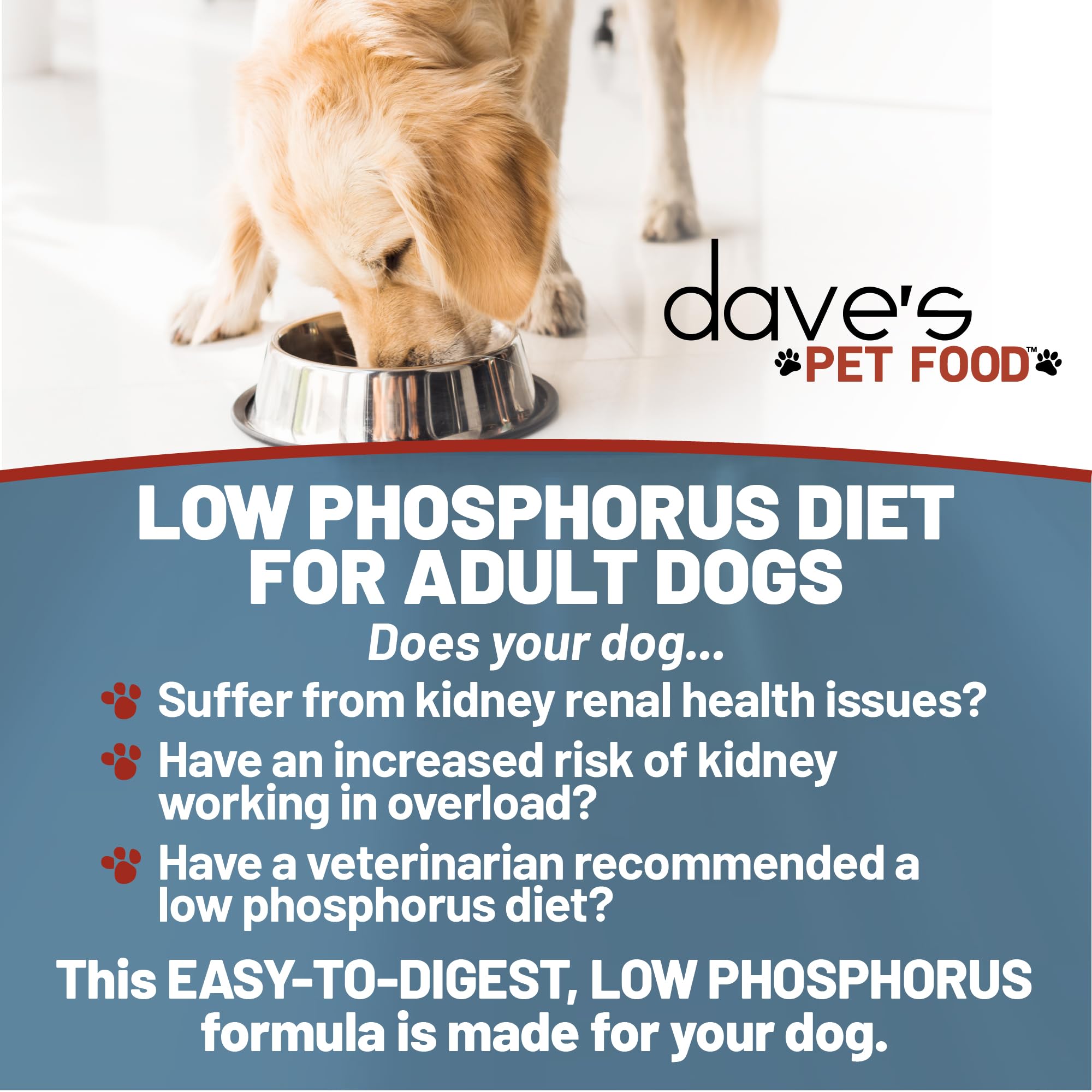 Dave s Pet Food Kidney Care mélange eau pour hydratation quotidienne.
