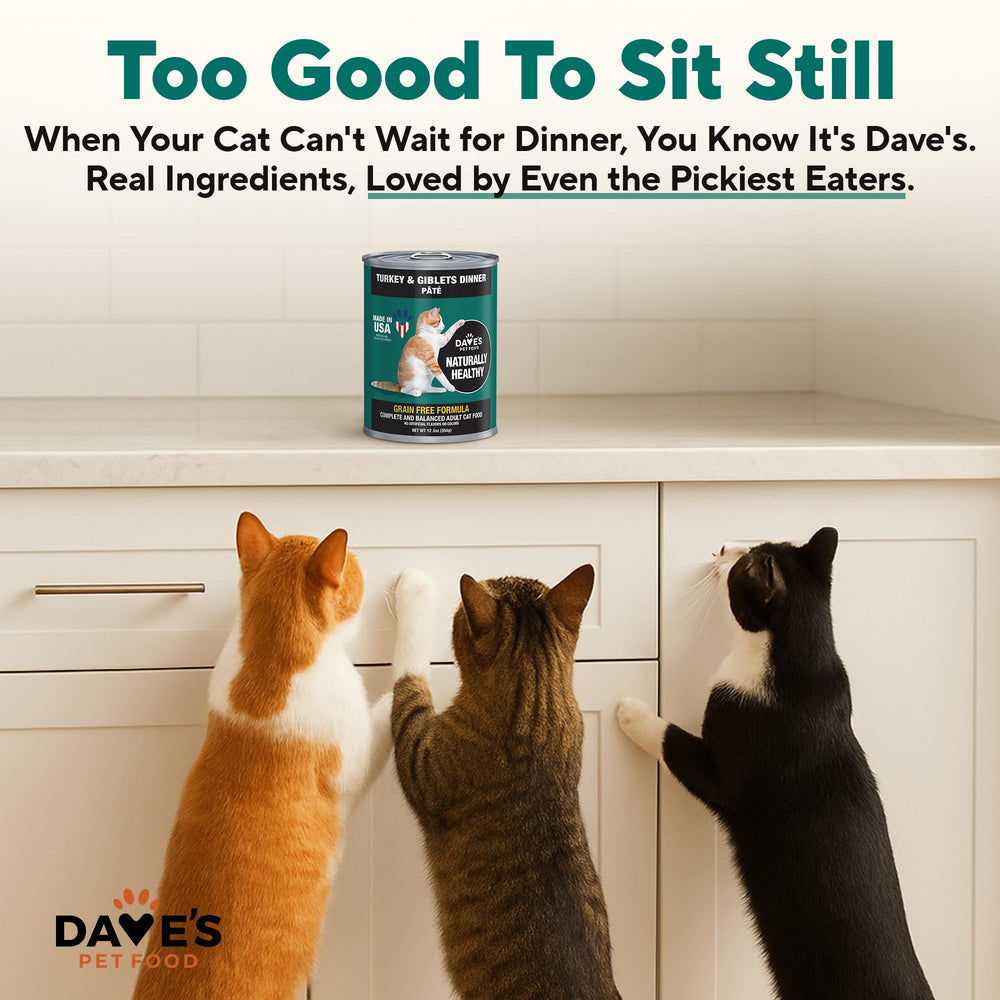 Dave's Pet Food valeurs nutritionnelles-minéraux-vitamines ajoutées, soutien quotidien pour les chats.