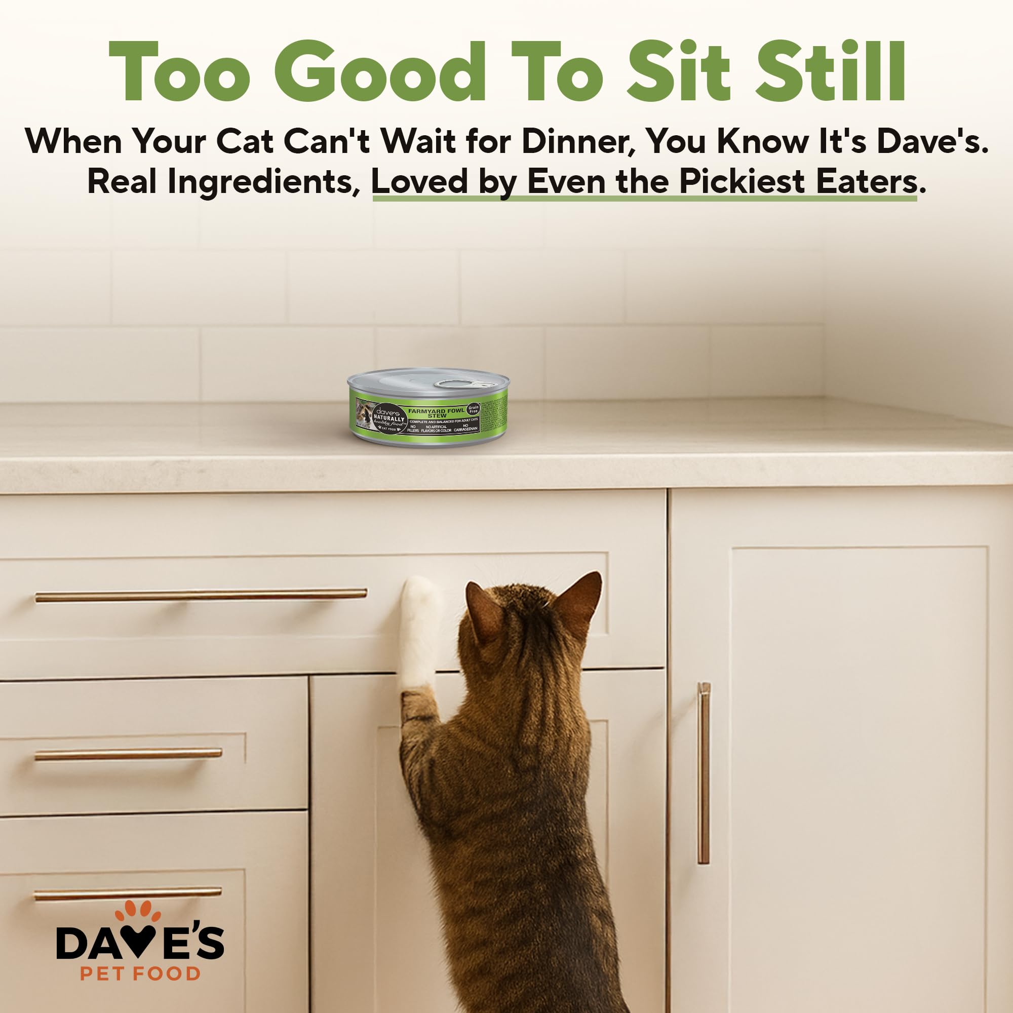 Dave's Pet Food – sans colorants artificiels ni carraghénane.