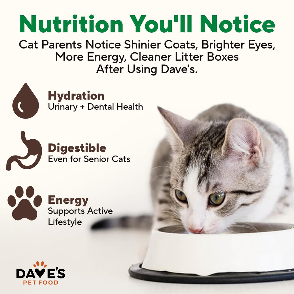Dave's Pet Food vitamines et minéraux ajoutés: nutrition pratique pour chat
