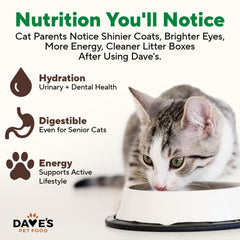 Dave's Pet Food vitamines et minéraux ajoutés: nutrition pratique pour chat