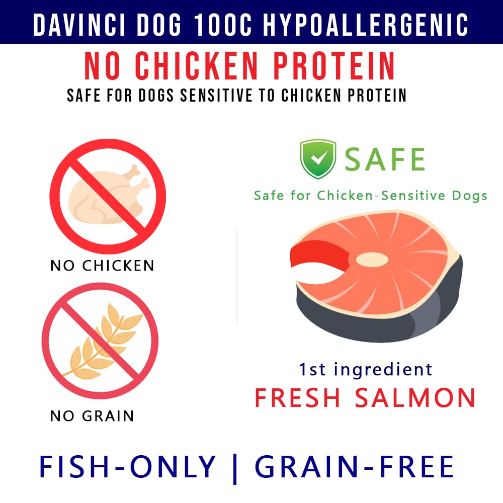 Davinci Chien provenance Ontario – ingrédients locaux mis en valeur.