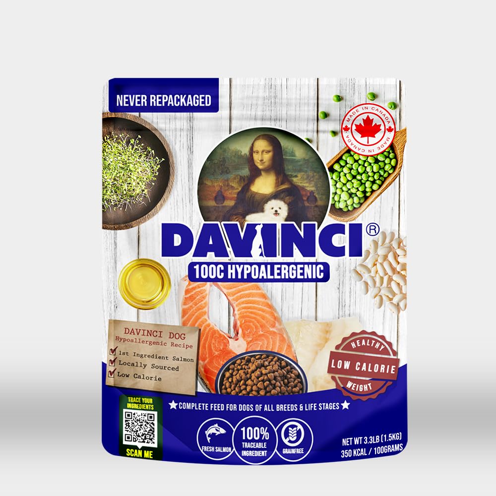 Davinci Chien saumon frais – premier plan, soutien potentiel pour alimentation sensible.