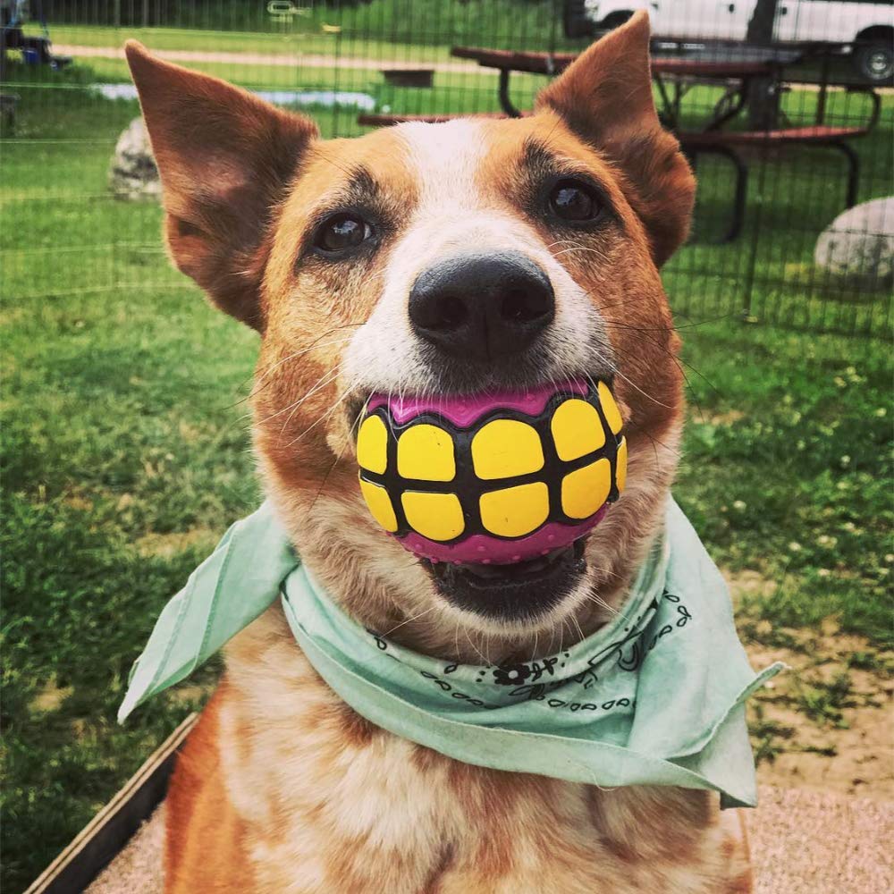 Balle Dawg Grillz parfum vanille offrant une expérience sensorielle agréable.