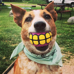 Balle Dawg Grillz parfum vanille offrant une expérience sensorielle agréable.